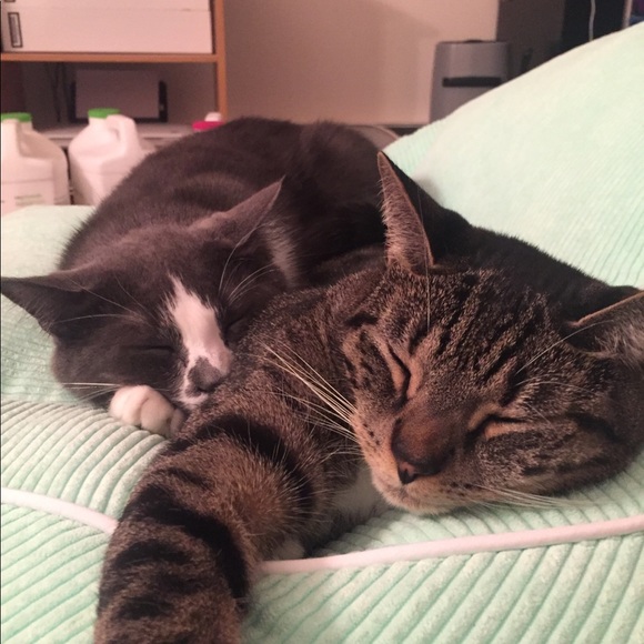 Meet your Posher, Janine - Picture 1 of 1